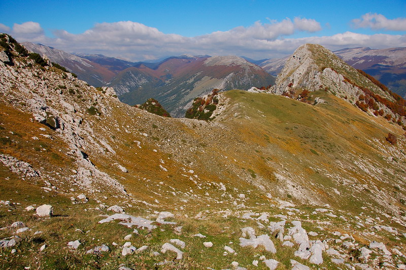 Panorama dall'alta Val di Rose