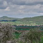 Panorama-Das Maintal von Romansthal aus gesehen