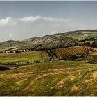 * Panorama della Toscana *