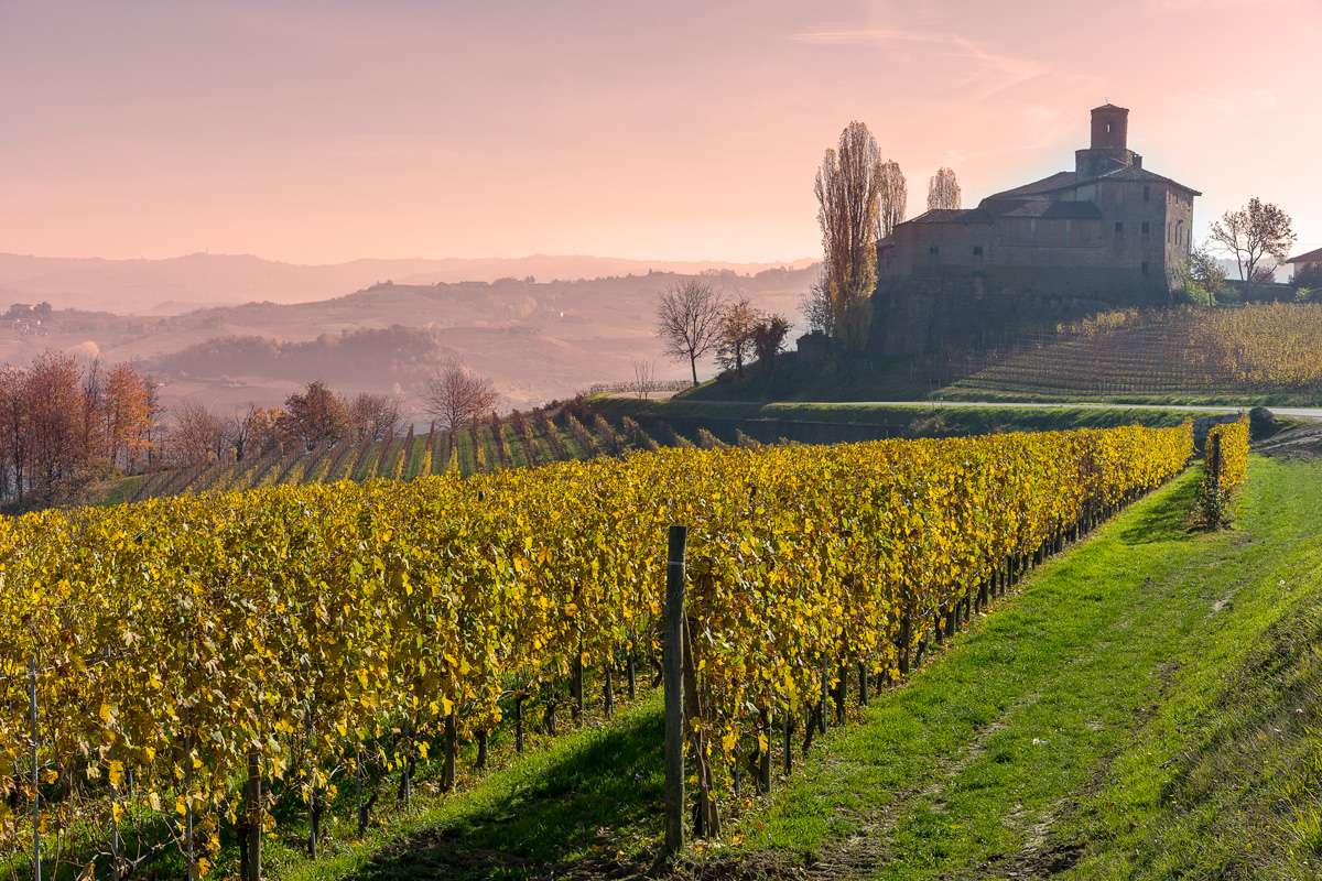 Panorama delle Langhe