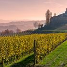 Panorama delle Langhe