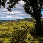 panorama depuis le belvédère du Petit Cour à Château-Chalon