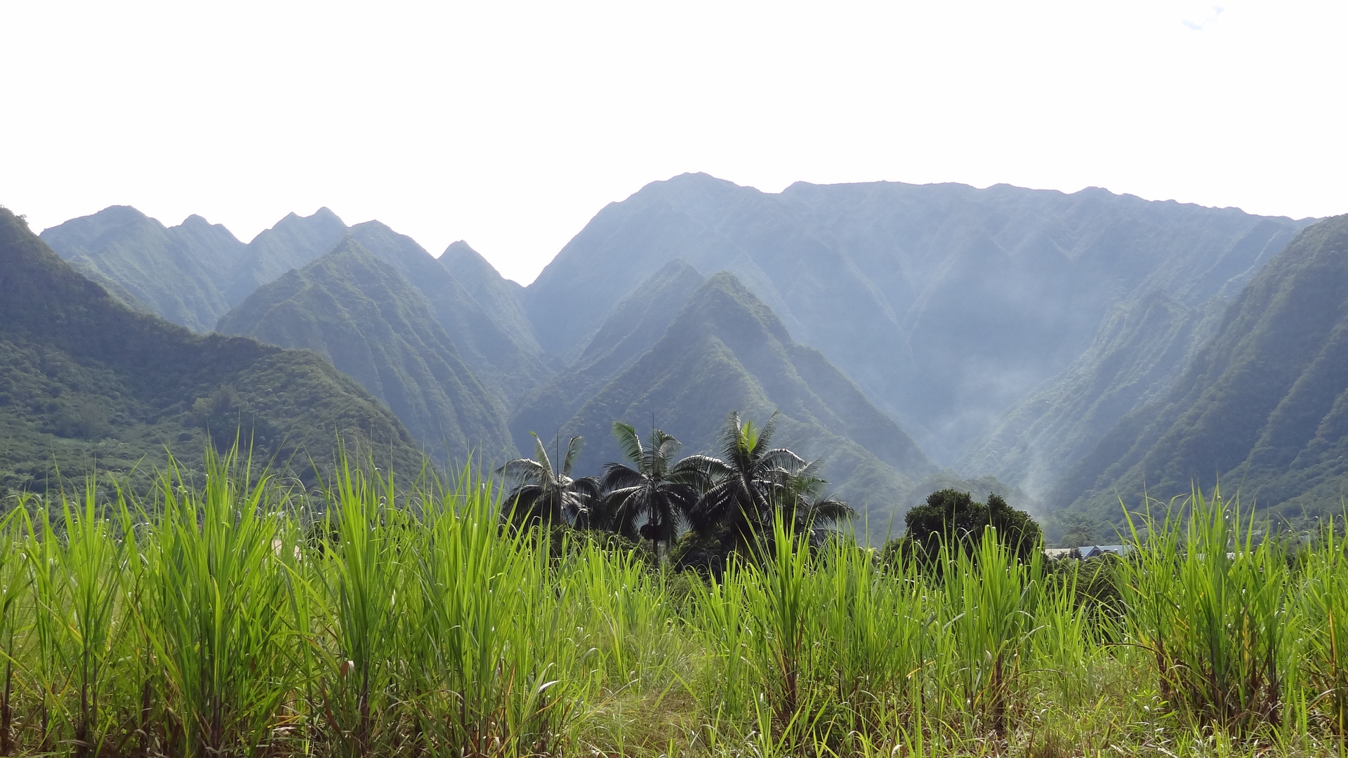 Panorama depuis le village de "Entre Deux" à La Réunion