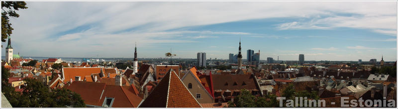 Panorama der Altstadt von Tallinn