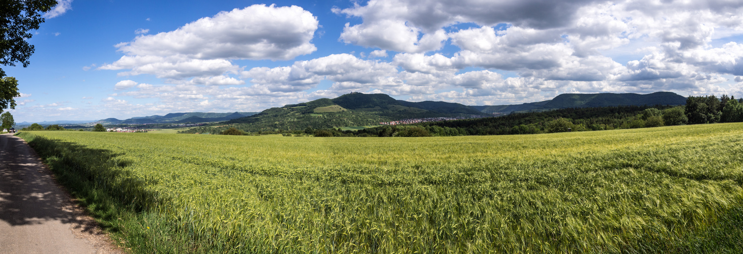 Panorama der Burg Teck