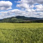 Panorama der Burg Teck