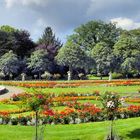 Panorama der Kölner Flora