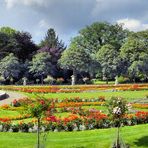 Panorama der Kölner Flora