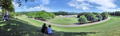 Panorama der Rheinaue Bonn