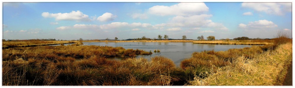 Panorama der Rieselfelder 3