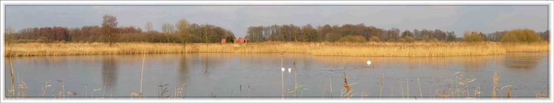 Panorama der Rieselfelder