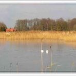 Panorama der Rieselfelder