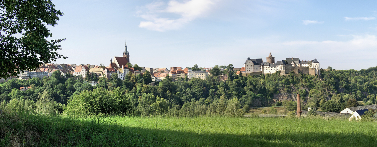 Panorama der Stadt Leisnig