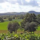 Panorama des 3-Burgen-Landes Felsberg in Hessen