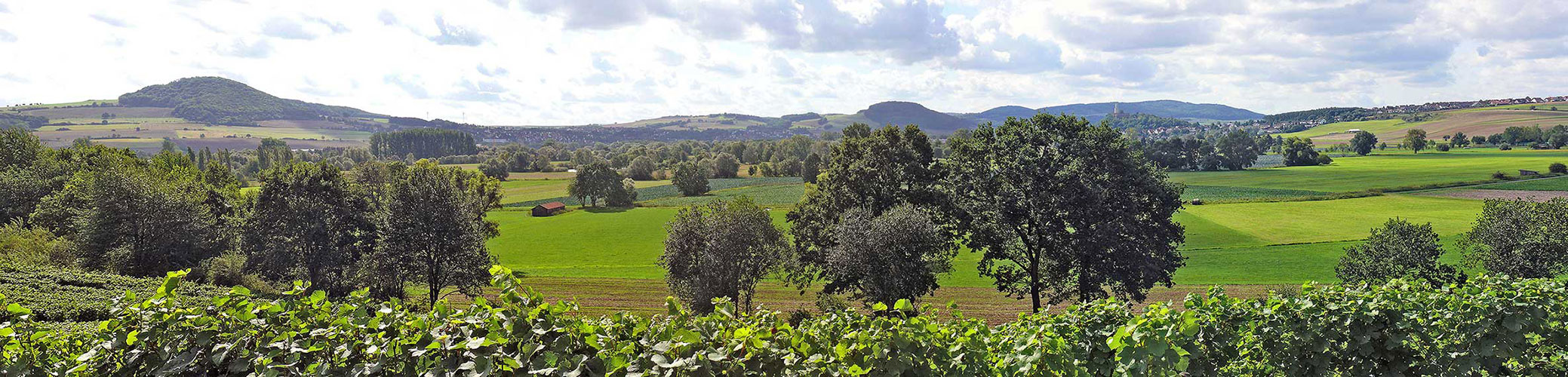 Panorama des 3-Burgen-Landes Felsberg in Hessen