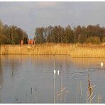 Panorama des Rieselfeldes 2