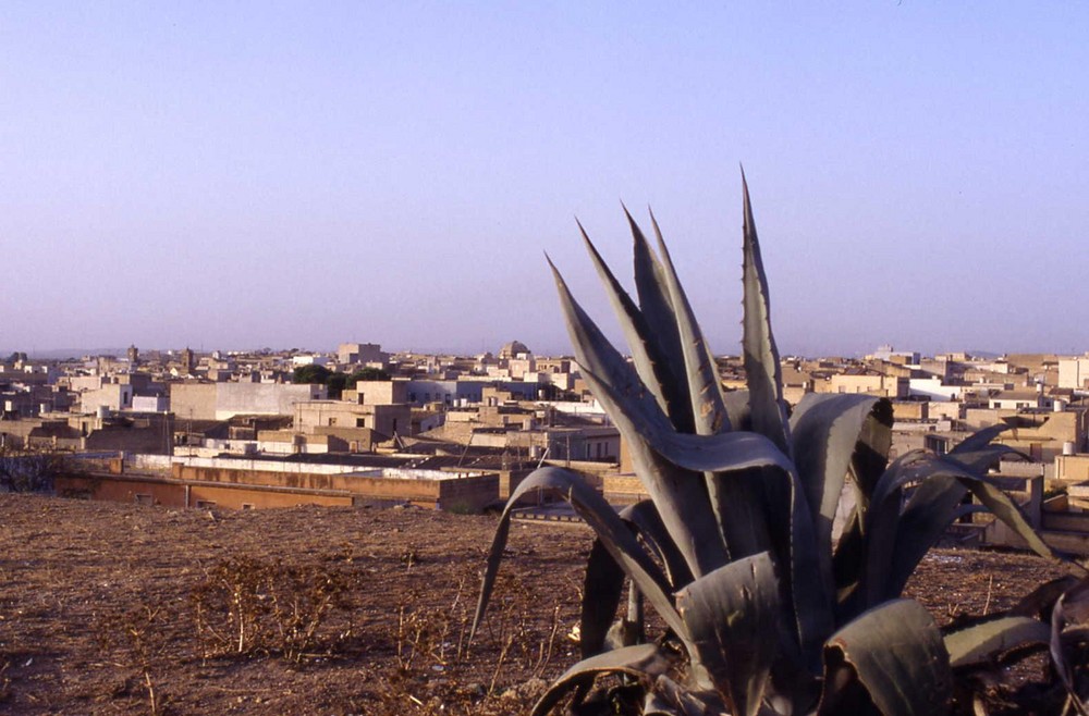 Panorama di Campobello di Mazara.