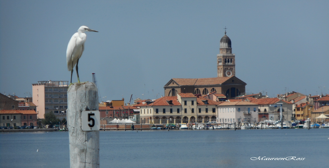 panorama di Chioggia con garzetta