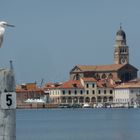 panorama di Chioggia con garzetta