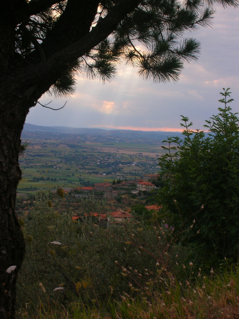 Panorama di Cortona