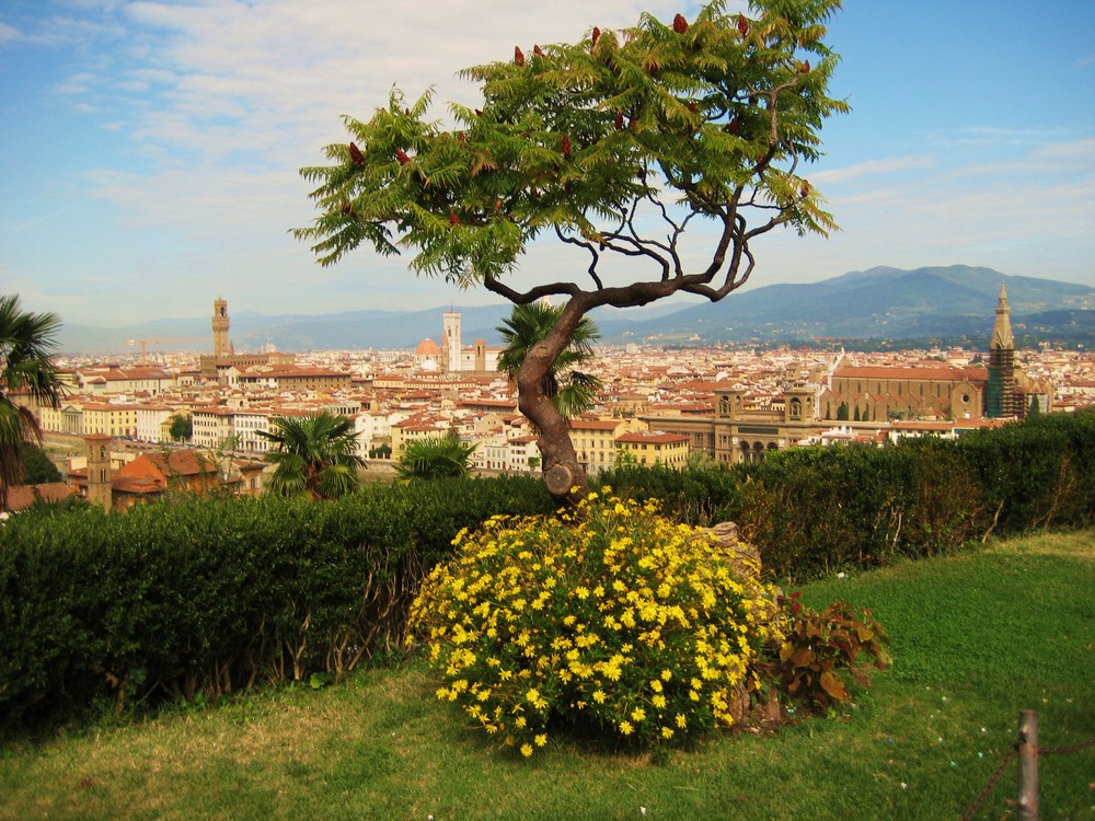 Panorama di Firenze da Piazzale Michelangelo