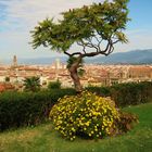 Panorama di Firenze da Piazzale Michelangelo