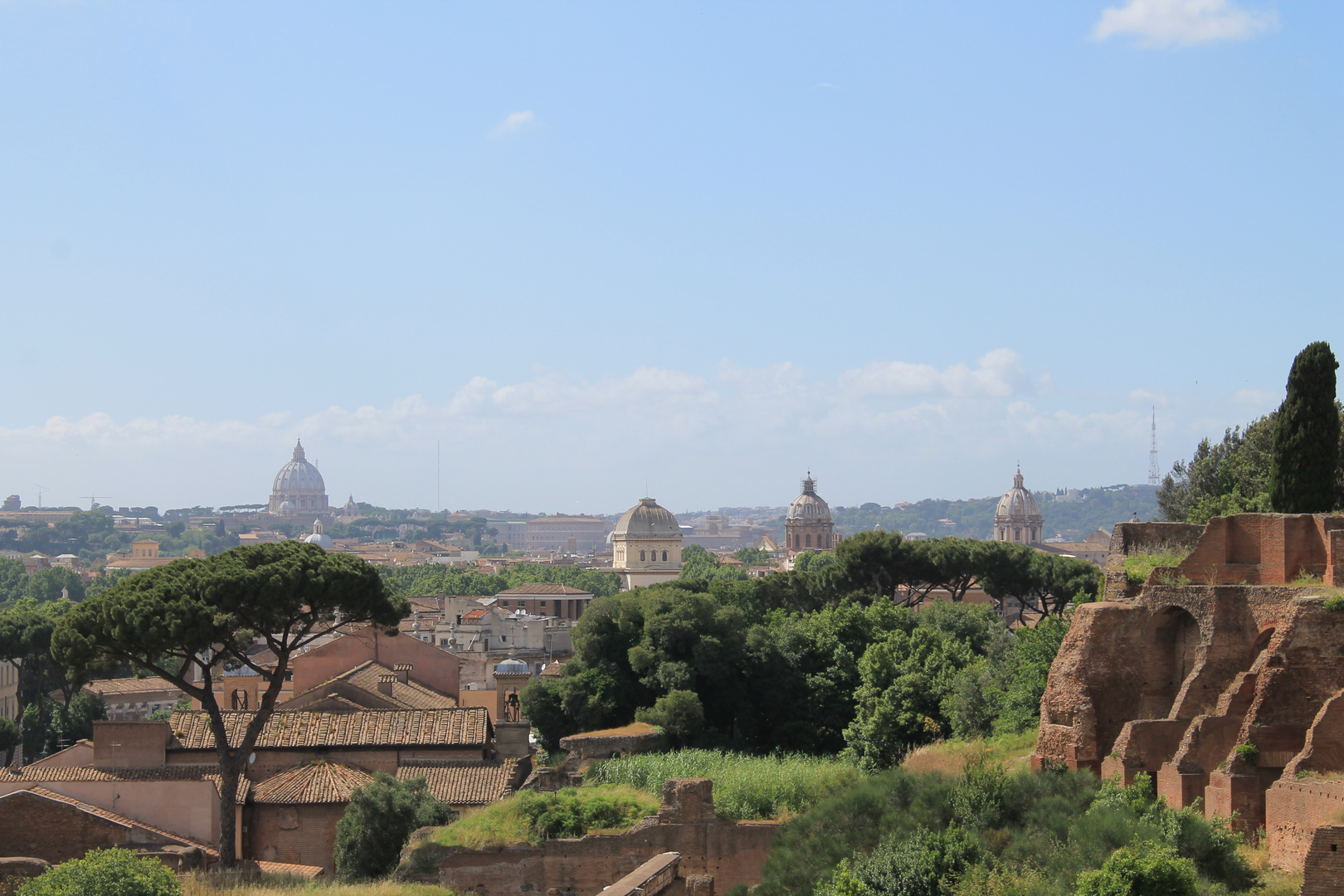 Panorama di Roma dai Palazzi di Domiziano