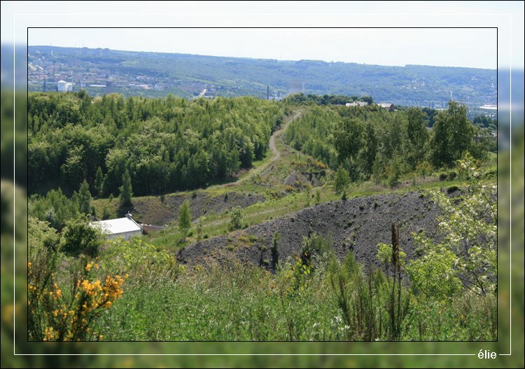 Panorama du Gosson