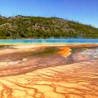 Panorama du Grand Prismatic(Yellowstone WYOMING))