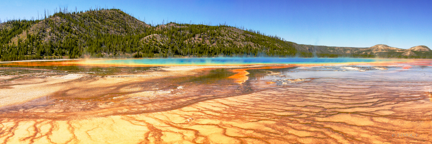 Panorama du Grand Prismatic(Yellowstone WYOMING))