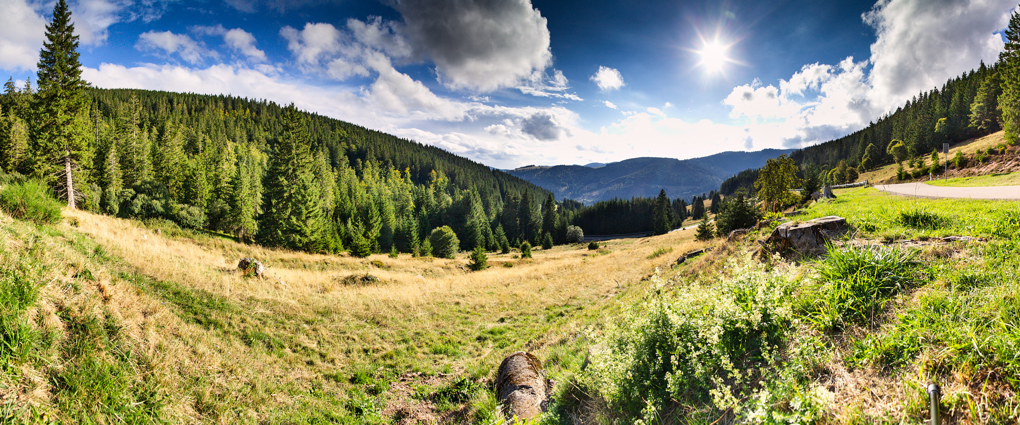 Panorama einer Schwarzwaldlandschaft bei Sankt Blasien im Gegenlicht