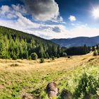 Panorama einer Schwarzwaldlandschaft bei Sankt Blasien im Gegenlicht