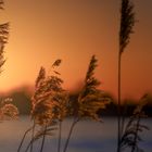 Panorama eines entspannten Sonnenunterganges an der Elbe 