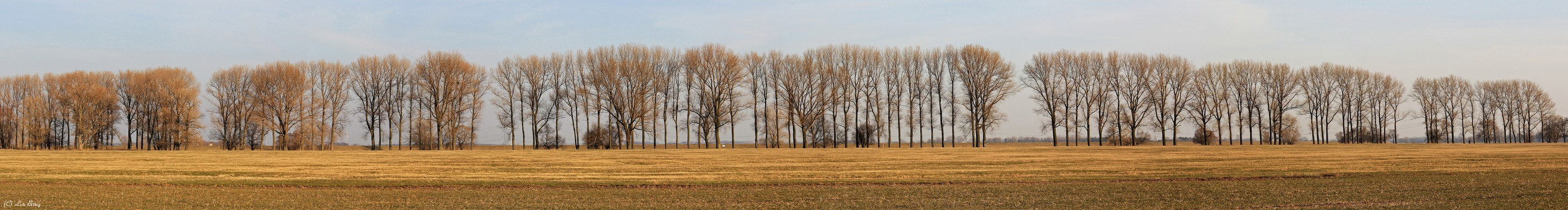 Panorama - Elbwiesengrenzblick