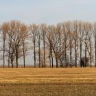 Panorama - Elbwiesengrenzblick