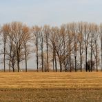 Panorama - Elbwiesengrenzblick