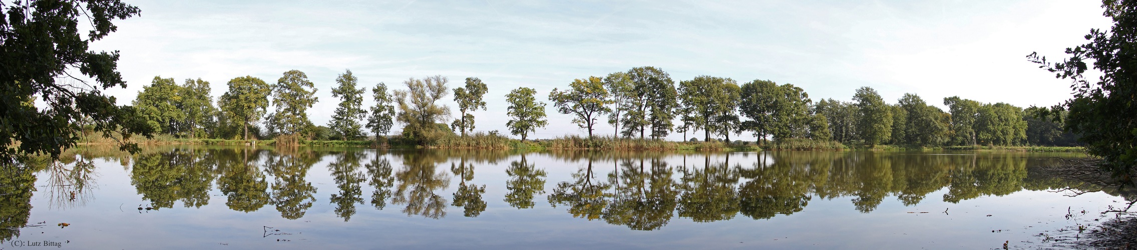 Panorama Elsteich Zschepplin