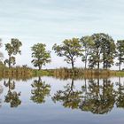 Panorama Elsteich Zschepplin