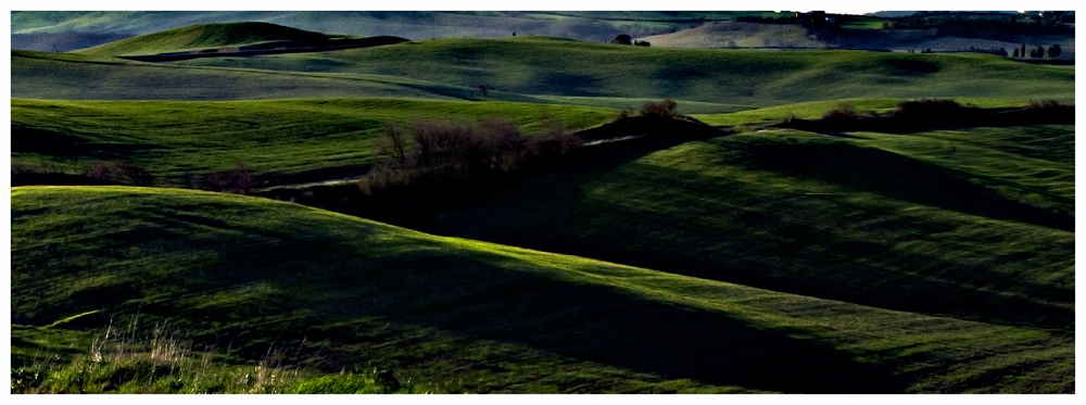 Panorama erboso