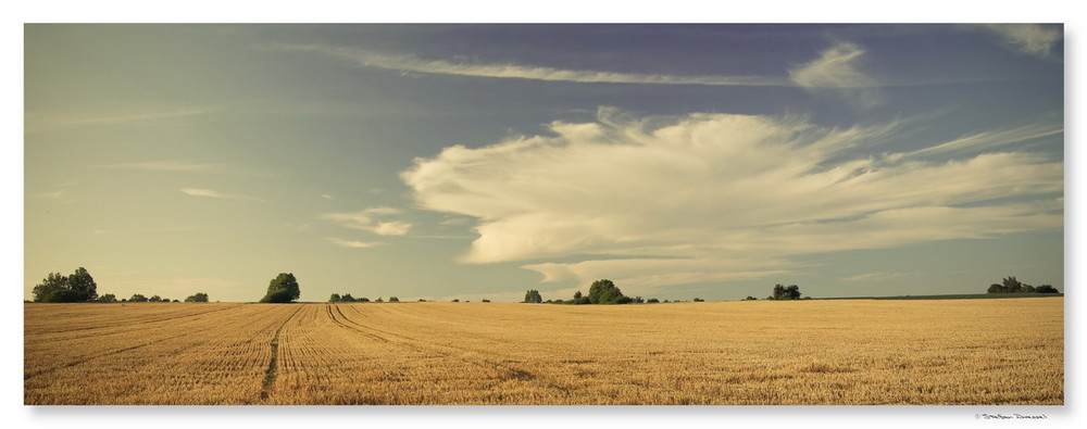 Panorama Feld bei Staberdorf / Fehmarn