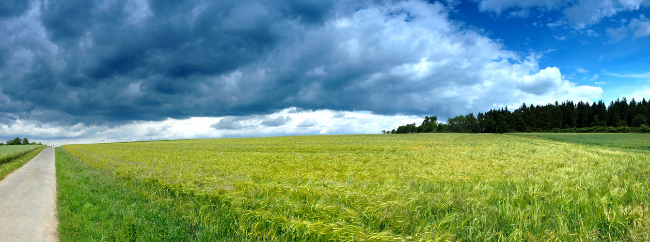 Panorama Feld, Wald, Wolken - Ein Gewitter zieht auf