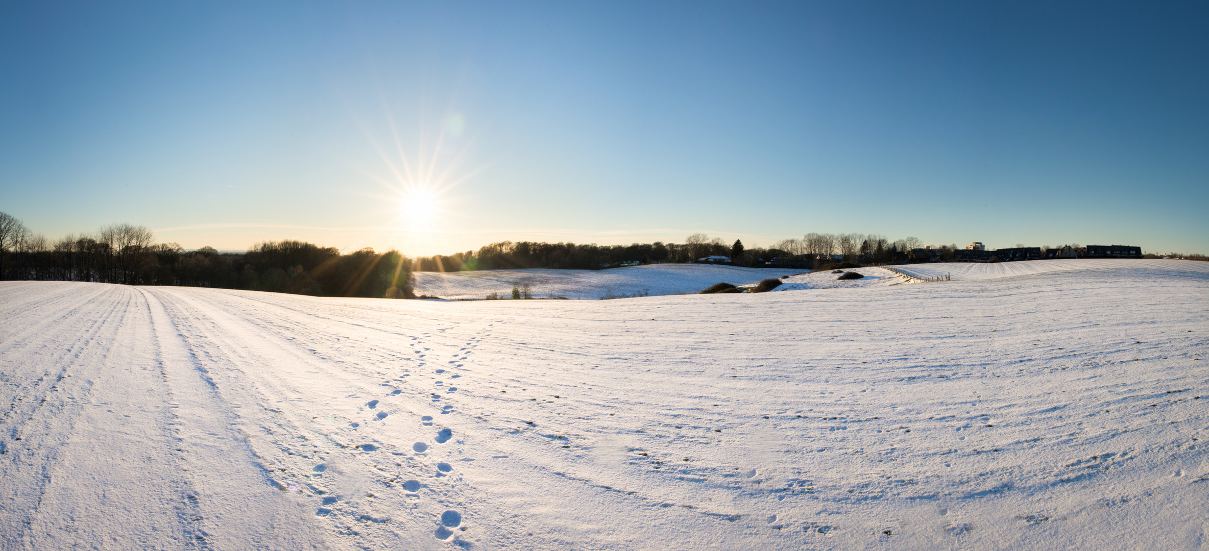 Panorama Felder Schnee