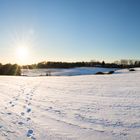 Panorama Felder Schnee