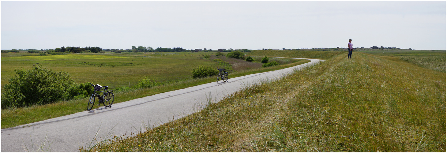 Panorama Foto der Nordseeinsel Mandø