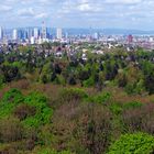 Panorama Frankfurt