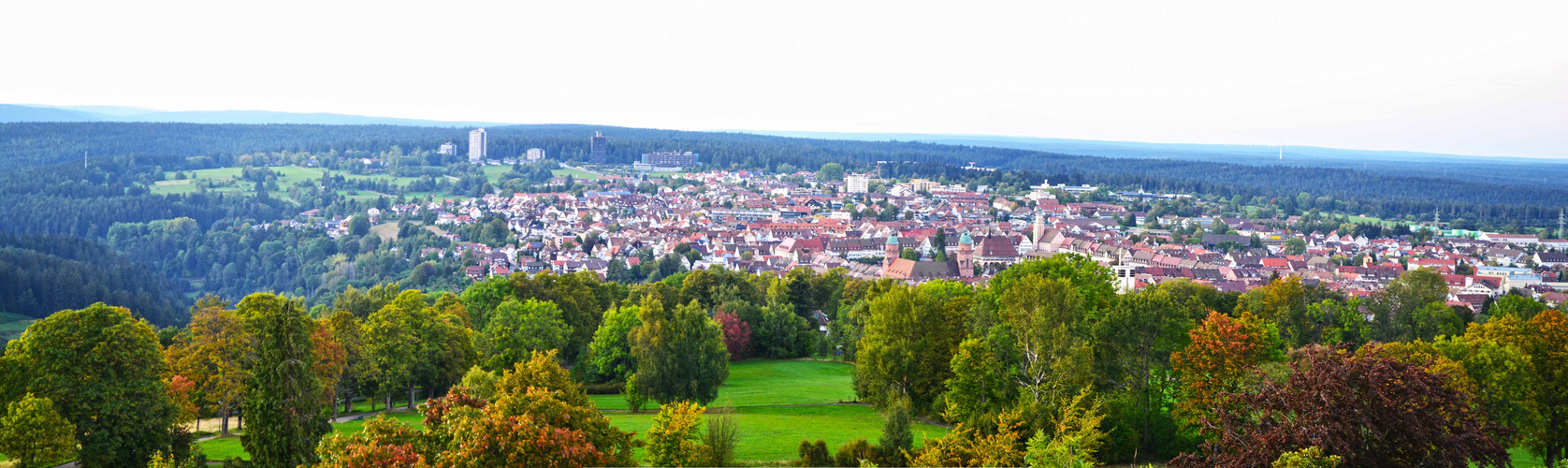 Panorama Freudenstadt