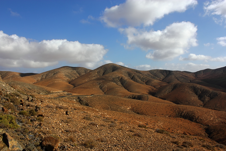Panorama - Fuerteventura