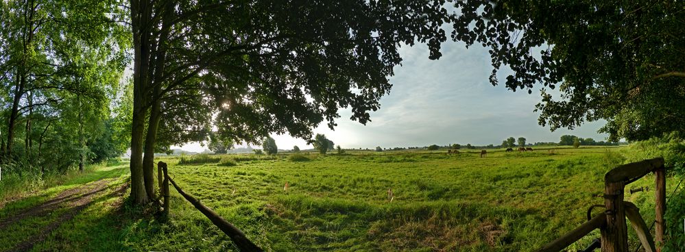 Panorama Fuhsewiesen in Dollbergen