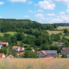 Panorama Goßmannsrode