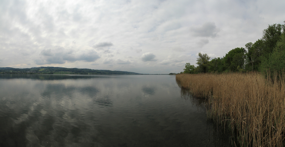 Panorama Greifensee